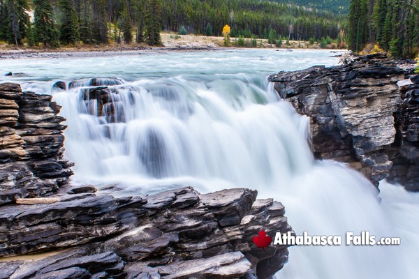 Athabasca Falls in Jasper National Park in February