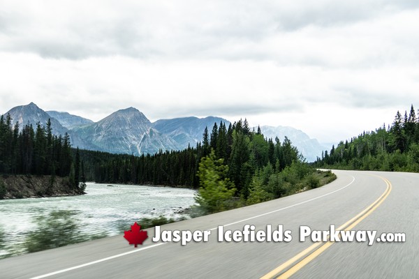 Jasper Icefields Parkway During February