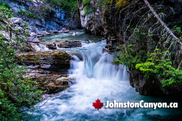 Johnston Canyon During February