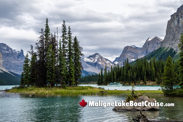 Jasper Maligne Lake Boat Cruise During February