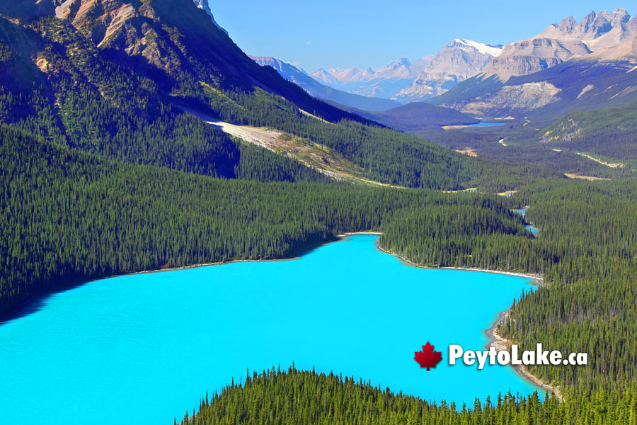 February at Peyto Lake