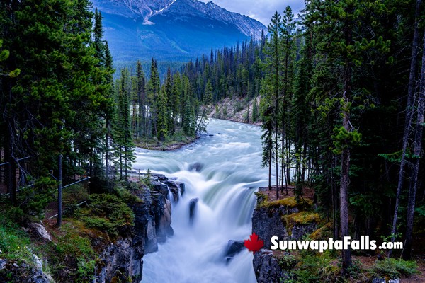 Sunwapta Falls in Jasper National Park in February